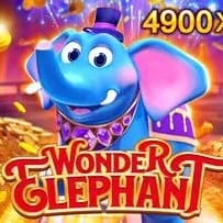 Wonder Elephant game icon